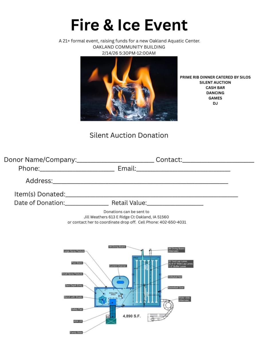 fire, ice, pool, fundraiser, formal