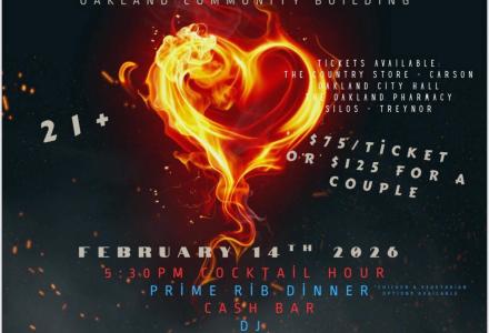 fire, ice, pool, fundraiser, formal