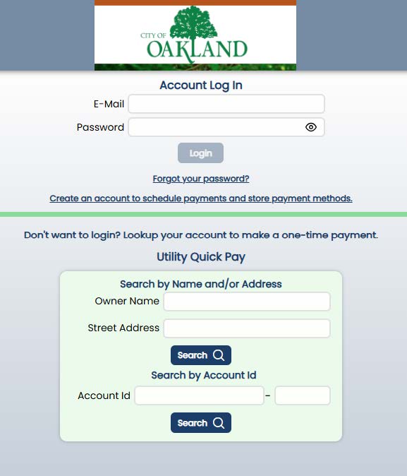 online payment form